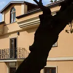 Vibo In Centro