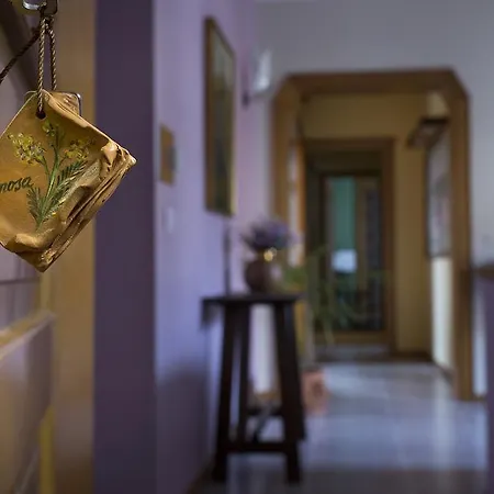 Vibo In Centro Frühstückspension