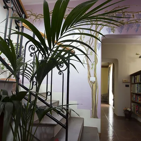 Bed & Breakfast Vibo In Centro 2*