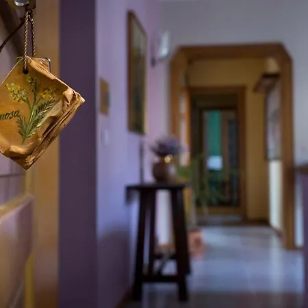 Oda ve Kahvaltı Vibo In Centro